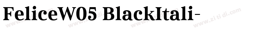 FeliceW05 BlackItali字体转换